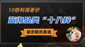 被忽略的蓝海品类“十八籽”，10倍的利润差价，同行一天几十单-多课资源站