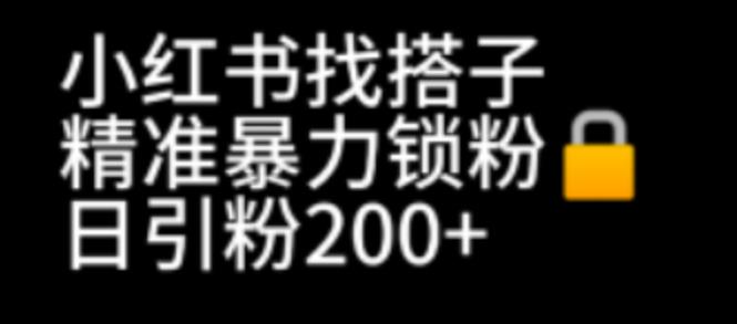 小红书找搭子暴力精准锁粉+引流日引200+精准粉-网课资源站