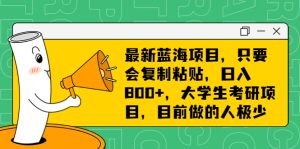 最新蓝海项目，只要会复制粘贴，日入800+，大学生考研项目，目前做的人极少-多课资源站