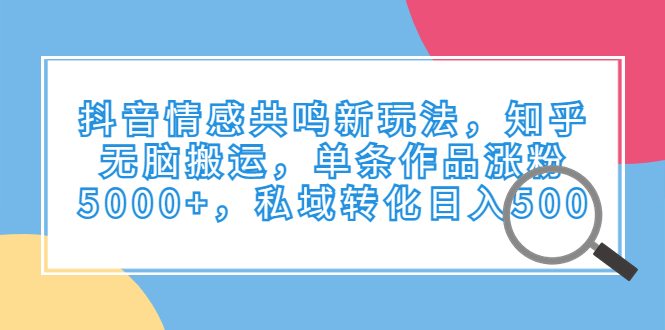 抖音情感共鸣新玩法，知乎无脑搬运，单条作品涨粉5000+，私域转化日入500-网课资源站