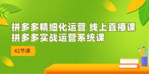 新课-拼多多精细化运营 线上直播课：拼多多实战运营系统课-42节-多课资源站