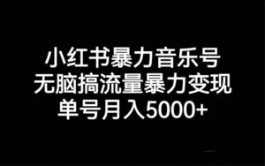 小红书暴力音乐号，无脑搞流量暴力变现，单号月入5000+-多课资源站