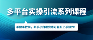 多平台实操引流系列课程，手把手教学，新手小白看完也可轻松上手引流操作！-多课资源站