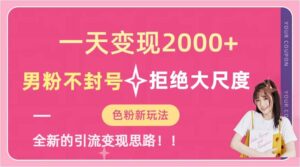一天收款2000元，男粉不封号拒绝大尺度-色粉全新的变现方法-多课资源站