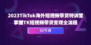 TikTok海外短视频带货特训营，掌握TK短视频带货变现全流程（60节课）-多课资源站