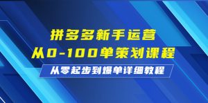 拼多多新手运营从0-100单策划课程，从零起步到爆单详细教程-多课资源站