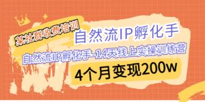 某社群收费培训：自然流IP 孵化手-14天线上实操训练营 4个月变现200w-多课资源站
