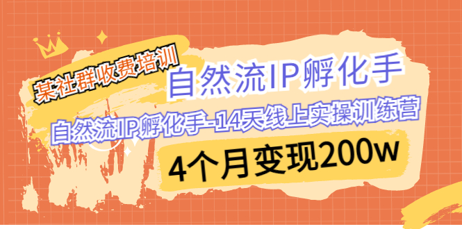 某社群收费培训：自然流IP 孵化手-14天线上实操训练营 4个月变现200w-多课资源站