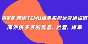 拼多多-跨境TEMU爆单实操运营培训班，海外拼多多的选品、运营、爆单-多课资源站