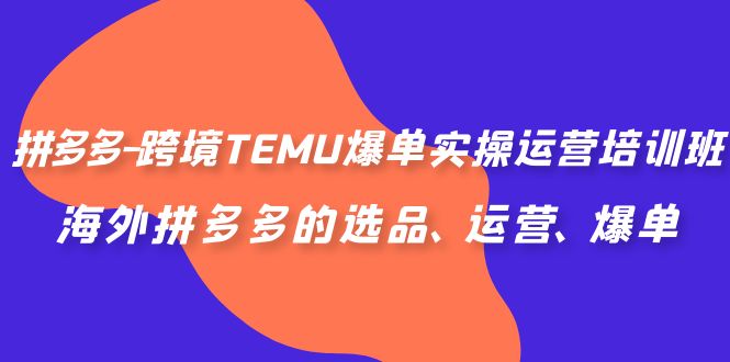 拼多多-跨境TEMU爆单实操运营培训班，海外拼多多的选品、运营、爆单-多课资源站