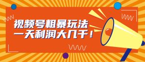 视频号粗暴玩法，一天利润大几千！-多课资源站