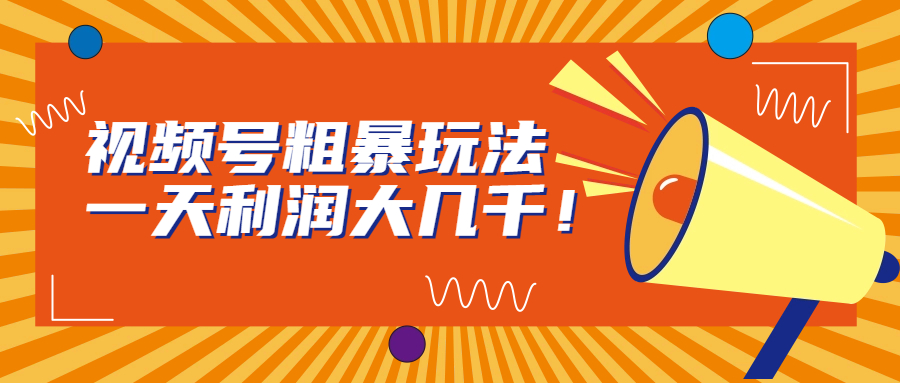 视频号粗暴玩法，一天利润大几千！-多课资源站