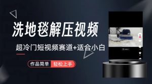 超冷门抖音短视频赛道-清洗地毯解压视频-简单无脑怼作品（教程+素材）-多课资源站