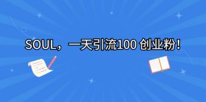 SOUL，一天引流100 创业粉！-多课资源站
