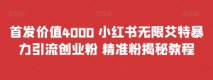 首发价值4000 小红书无限艾特暴力引流创业粉 精准粉揭秘教程-多课资源站