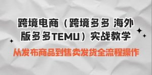 跨境电商（跨境多多 海外版多多TEMU）实操教学 从发布商品到售卖发货全流程-多课资源站