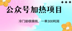 冷门公众号加热项目，一单利润300+ -多课资源站