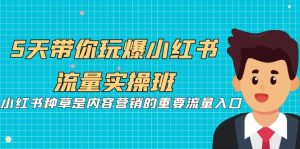 5天带你玩爆小红书流量实操班，小红书种草是内容营销的重要流量入口-多课资源站