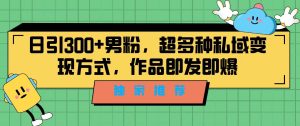 独家推荐！日引300+男粉，超多种私域变现方式，作品即发即报-多课资源站