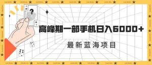 最新蓝海项目，一年2次爆发期，高峰期一部手机日入6000+（素材+课程）-多课资源站