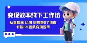 变现-效率线下工作坊，从直播间、私域、短视频3个维度 升级IP+团队变现效率-多课资源站