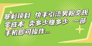 暴利项目，快手引流男粉变现，零成本，卖多少赚多少，一部手机即可操作-多课资源站