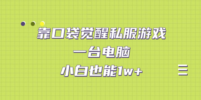 靠口袋觉醒私服游戏，一台电脑，小白也能1w+（教程+工具+资料）-多课资源站