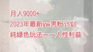 月入9000+最新yw男粉计划绿色玩法——人性之利益-多课资源站