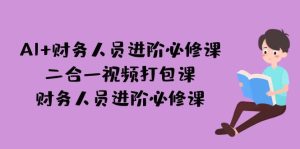 AI + 财务人员进阶必修课二合一视频打包课，财务人员进阶必修课-多课资源站