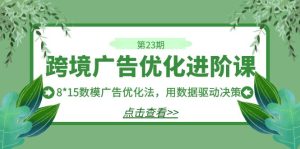 跨境广告·优化进阶课·第23期，8*15数模广告优化法，用数据驱动决策-多课资源站
