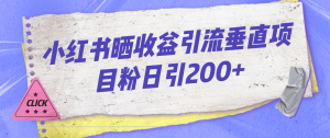 小红书晒收益图引流垂直项目粉日引200+-多课资源站