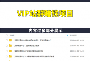 真正自动化赚钱项目,VIP站群赚钱项目-多课资源站