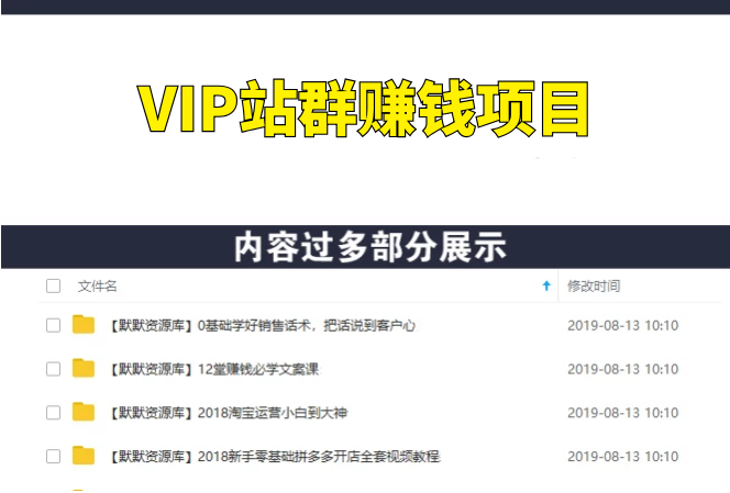 真正自动化赚钱项目，VIP站群赚钱项目-多课资源站