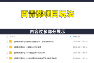 日赚2000的百青藤项目玩法（价值9000）-多课资源站