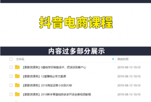 系统化做抖音电商月入10万元（全套课程）-多课资源站