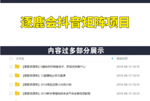 逐鹿会抖音矩阵项目，月入100万利润+-多课资源站