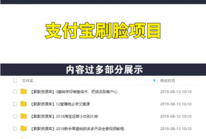 支付宝刷脸正规项目实操，4人团队6天赚3W-多课资源站