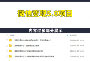 微信变现5.0项目新手老鸟可操作，月入20000+【全套课程+工具】-多课资源站