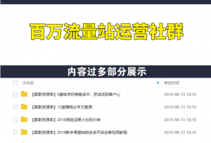百万流量站运营社群，实现年入百万收益，价值2800元-多课资源站