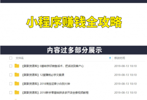 小程序赚钱全攻略：零基础搭建、引爆、变现你的小程序!-多课资源站
