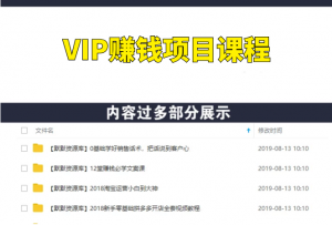VIP赚钱项目课程（站群赚钱/公众号赚钱）-多课资源站