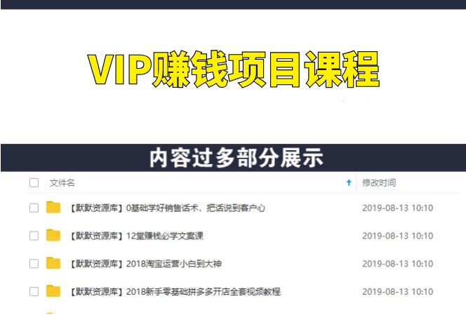 VIP赚钱项目课程(站群赚钱/公众号赚钱)-多课资源站