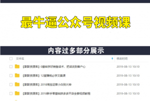 零基础做出能赚钱，最牛逼公众号视频课-多课资源站