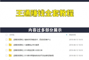 王通赚钱全套教程（赚钱项目/SEO/裂变引流/文案/营销）-多课资源站