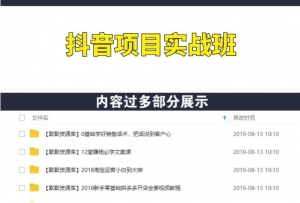 抖音项目实战班，每天佣金10000+-多课资源站