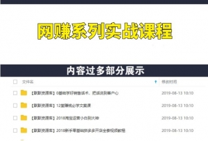 付费实战课程：多个日赚1000+项目，全是干货！-多课资源站