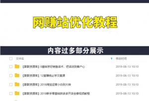 网赚站优化大全教程,适用于任何类型的网赚站(视频版)-多课资源站