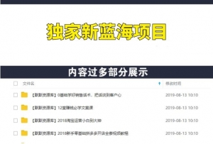 独家新蓝海项目：全自动躺赚长期暴利网站-多课资源站