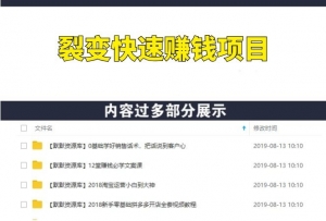精准流量长期裂变快速赚钱项目：每天3小时 新手月赚两万+也毫无压力-多课资源站