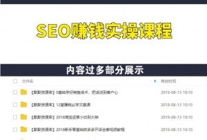 SEO实操番号站之大流量S流站，全自动化 大概2-3个月 5万+的收入-多课资源站